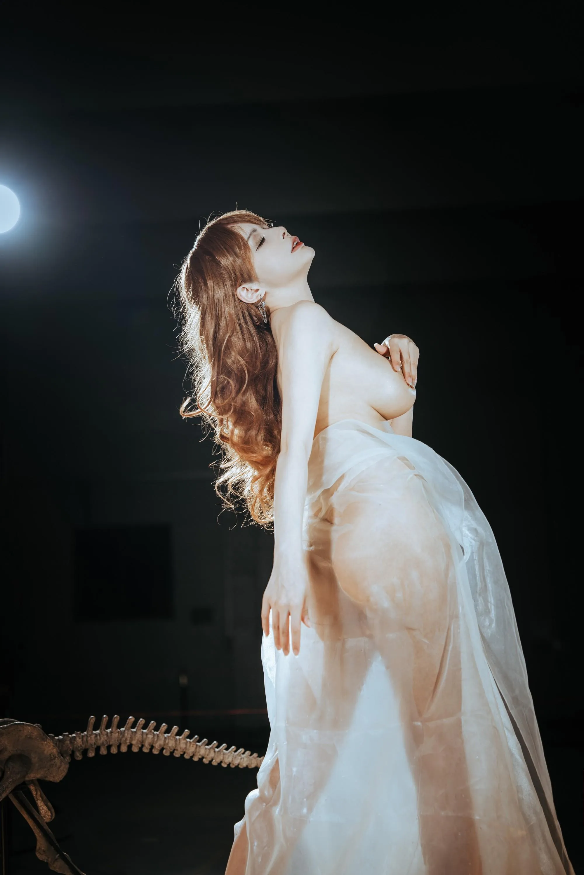 秋和柯基 – NO.099 纱 [66P]插图9